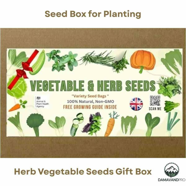 Beginner gardening seed kit – grow fresh herbs and vegetables at home with seed box planting set