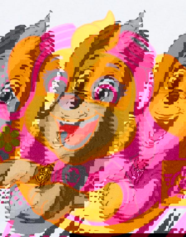 Paw Patrol Girls White Skye Short Sleeved T-Shirt