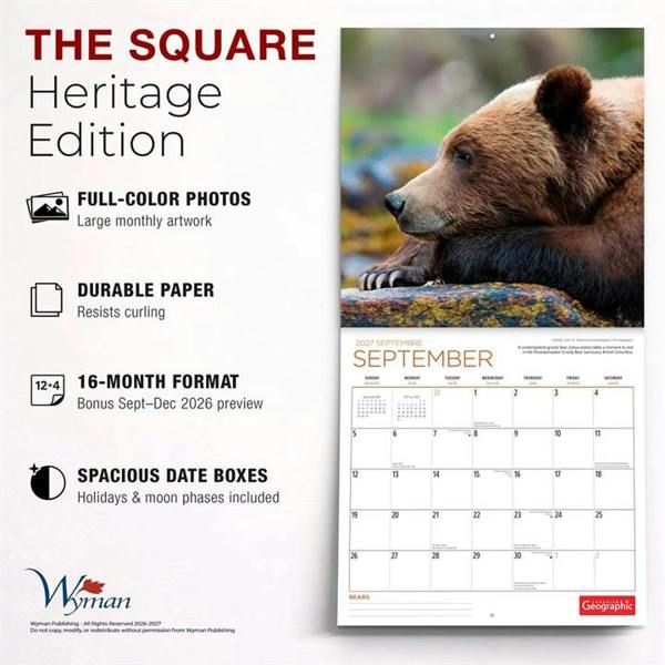 Bears Calendar 2027, Wall Calendars, Month To View, Animals, Gift