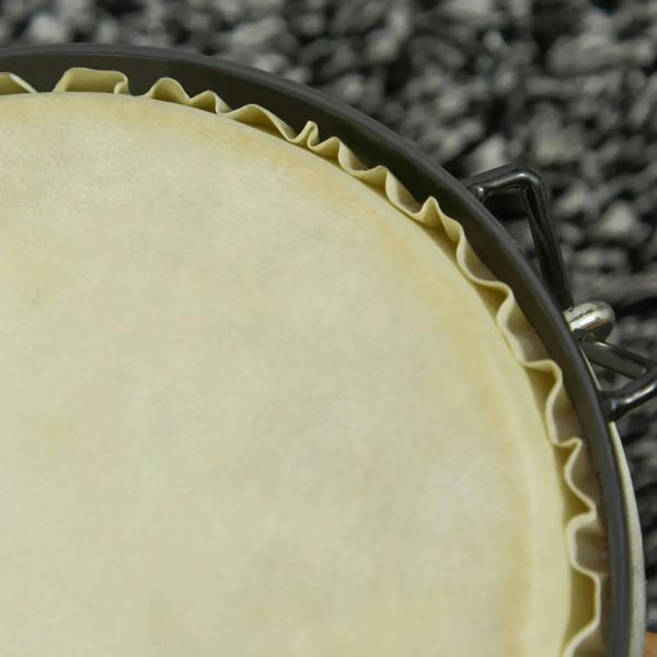 Close-up of bongo drumhead edge with padded rim and black metal handle