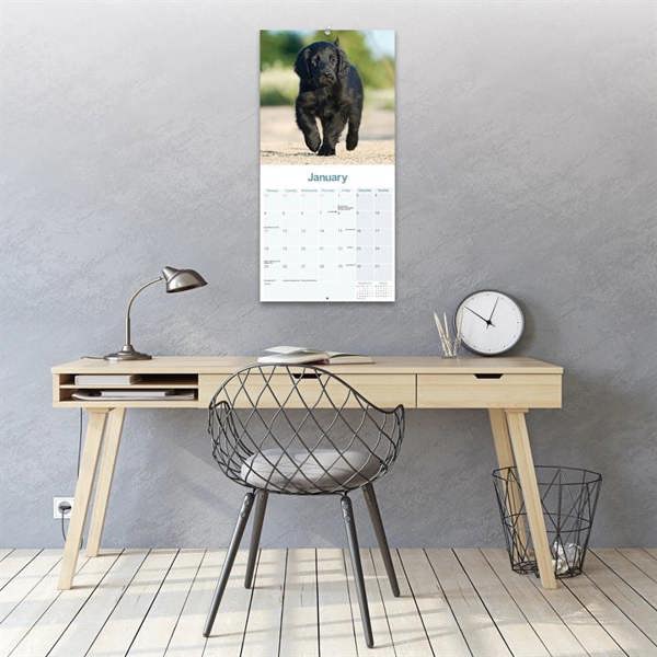 Flat Coated Retriever Calendar 2027, Wall Calendars, Month To View, Dogs, Gift