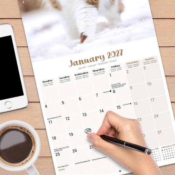 Ragdoll Cats Calendar 2027, Wall Calendars, Month To View, Cats, Gift