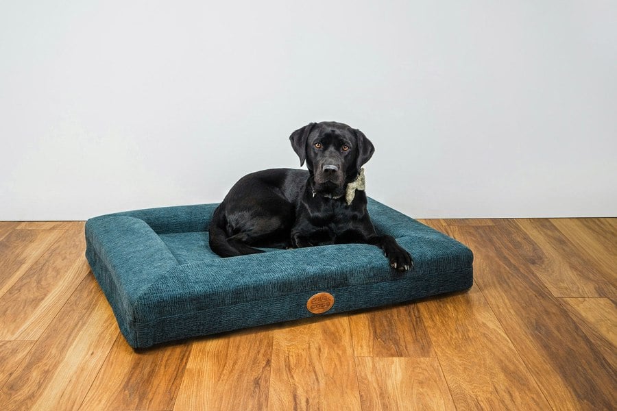 Snug and Cosy Pets Orthopaedic Dog Lounger Beds