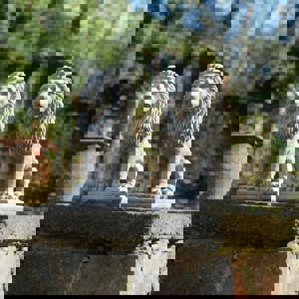 Pair of Small Bavarian Lion Garden sculptures