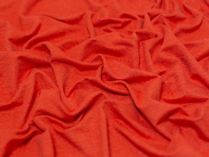 Coral Orange