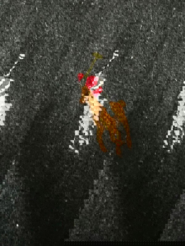 Ralph Lauren Polo Ralph Lauren Signature Virgin Wool Scarf Black