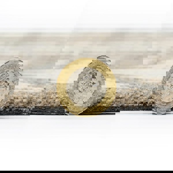 JVL Mega Mat Machine Washable Entrance Runner and Doormat Set, Brown Leaves