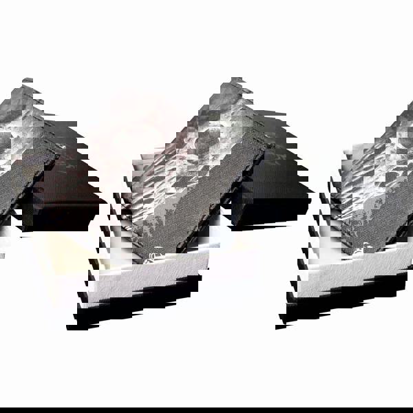 Spiral Direct BAT CURSE - BiFold Wallet with RFID Blocking and Gift Box