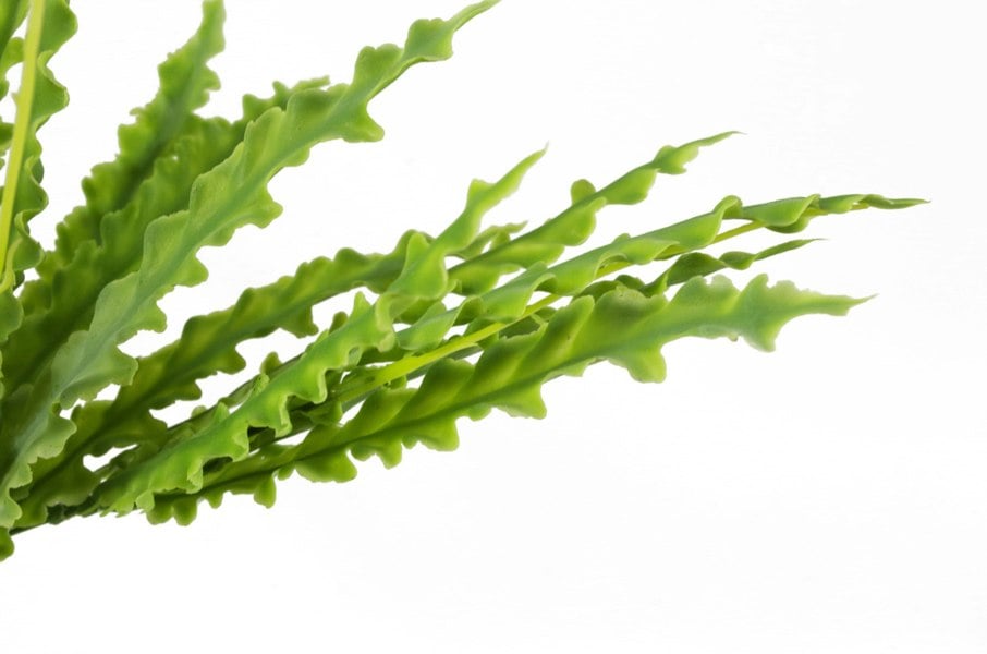 Leaf 40cm Artificial Crocodile Fern Plant