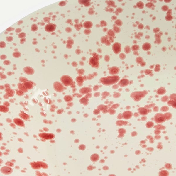 Hot Pottery Serving Platter Cranberry