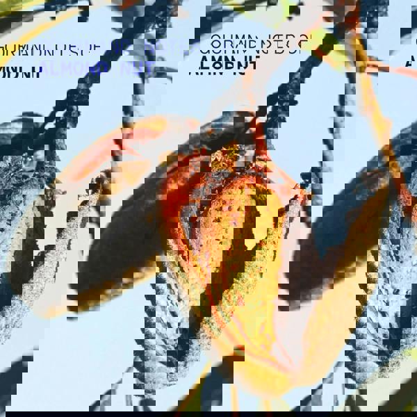 Korres Almond Nut Hand Cream