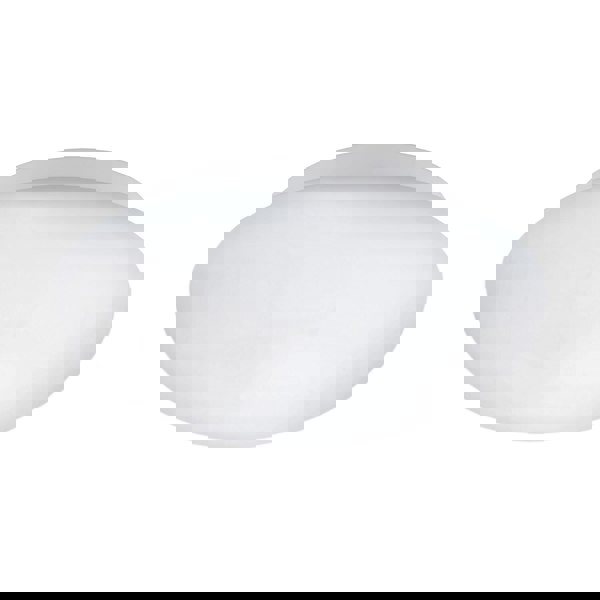 Wall Flush Ceiling Light Colour White Shade White Glass Opal Matt Bulb E27 1x60W Loops