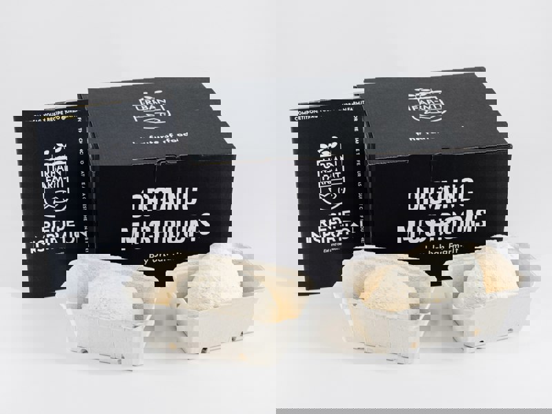 Fresh Lions Mane with Recipe Book and Presentation Box