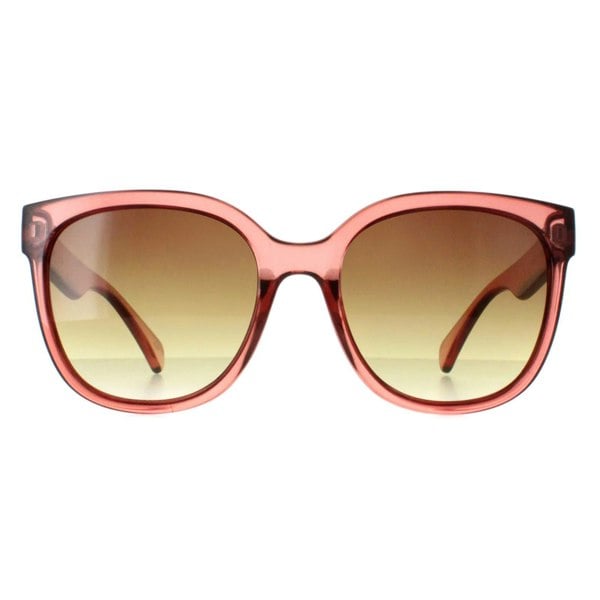 Calvin Klein Sunglasses CK22553S 210 Transparent Brown Brown Gradient