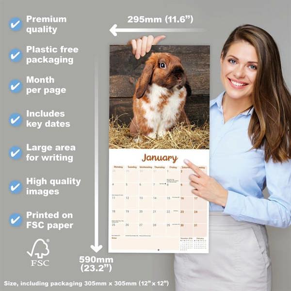 Lop-Eared Rabbits Calendar 2027, Wall Calendars, Month To View, Animals, Gift