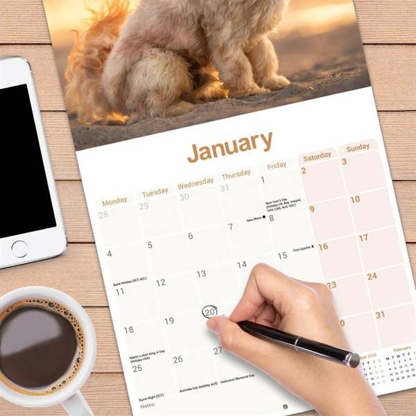 Cavapoo Calendar 2027, Wall Calendars, Month To View, Dogs, Gift