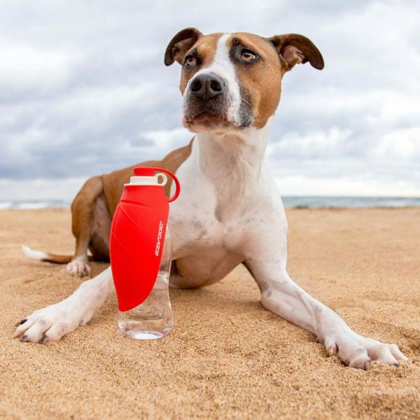 EzyDog Leaf Dog Water Bottle