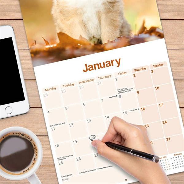 Collie Calendar 2027, Wall Calendars, Month To View, Dogs, Gift