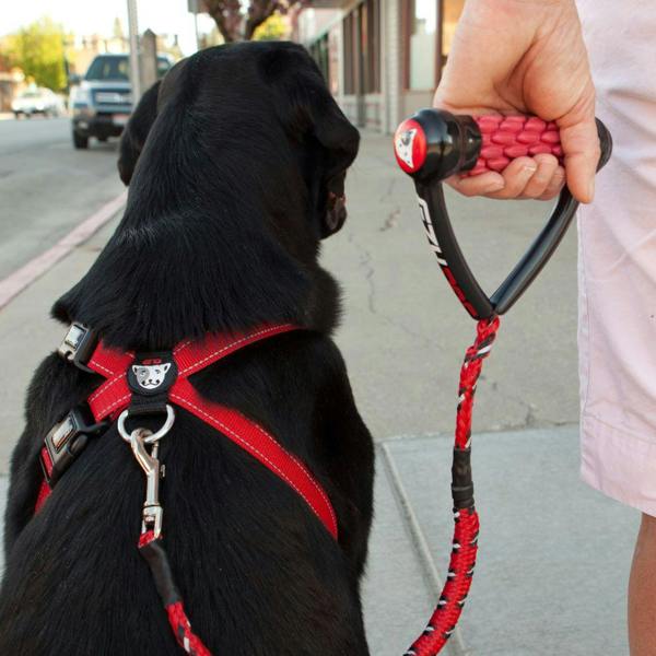 EzyDog Cujo Dog Lead in Red