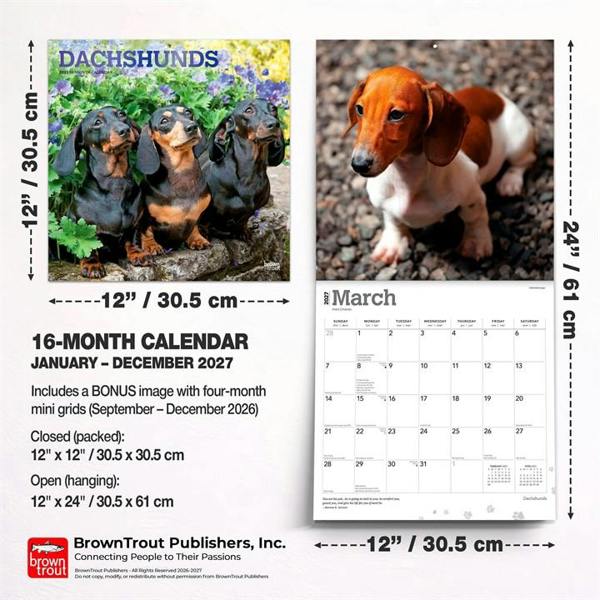 Dachshunds Calendar 2027, Wall Calendars, Month To View, Dogs, Gift