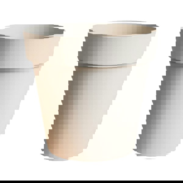 #color_oat