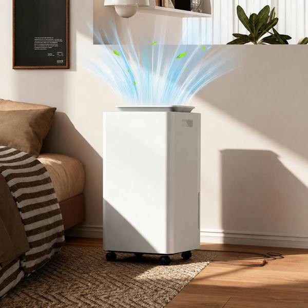 G-Maxx Portable Dehumidifier with Removable Water Tank