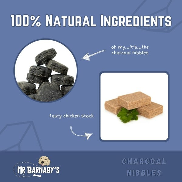 Mr Barnaby's Charcoal Nibbles