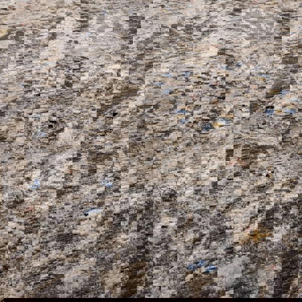 Asiatic Sovereign Charcoal Medallion Rug