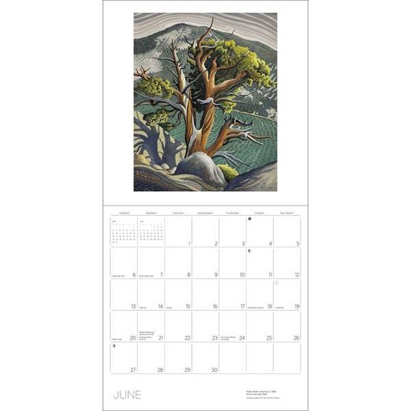 Phyllis Shafer, Nature Divine Calendar 2027, Wall Calendars, Month To View, Art, Gift