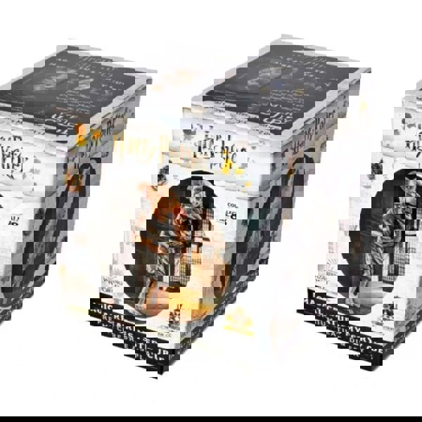 The Noble Collection Noble Collection | Harry Potter Magical Creatures Mystery Cubes (One Random)