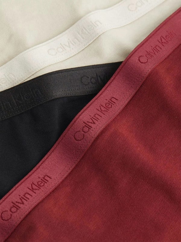 Calvin Klein MODERN LOGO HOLIDAY Womens 3 Pack Bikinis Multicoloured