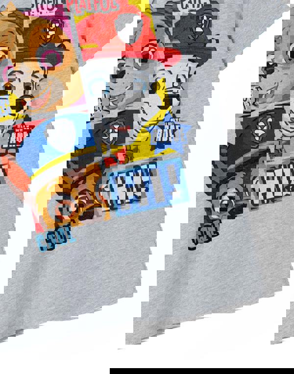 Paw Patrol Boys Grey Peekaboo Short Sleeved T-Shirt