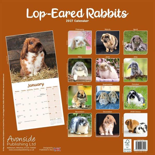 Lop-Eared Rabbits Calendar 2027, Wall Calendars, Month To View, Animals, Gift