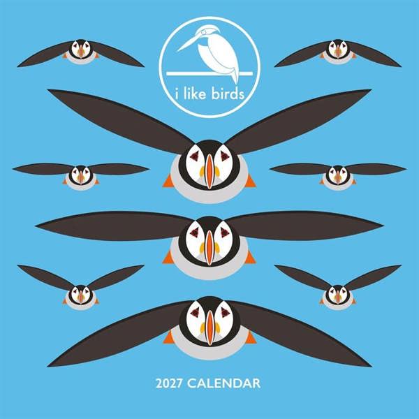 I Like Birds Calendar 2027, Wall Calendars, Month To View, Animals, Gift