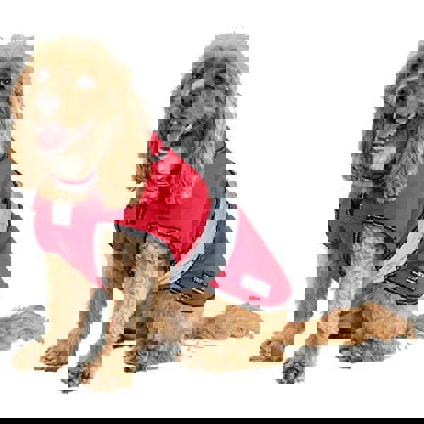 Trespass Duke Weatherproof Dog Jacket With Removable Inner Fleece - Red - 