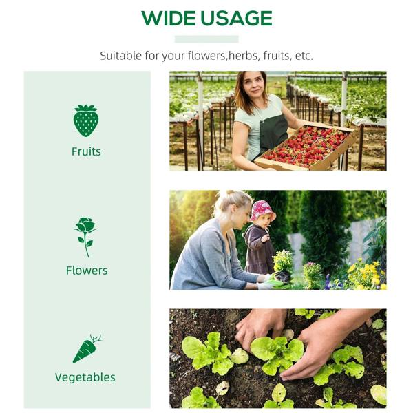 Green mini greenhouse edge shown near infographic for outdoor plant growing