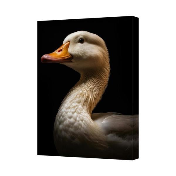 Benjamin Tate Design Duck Canvas Wall Art Portrait Black Background Animal Decor