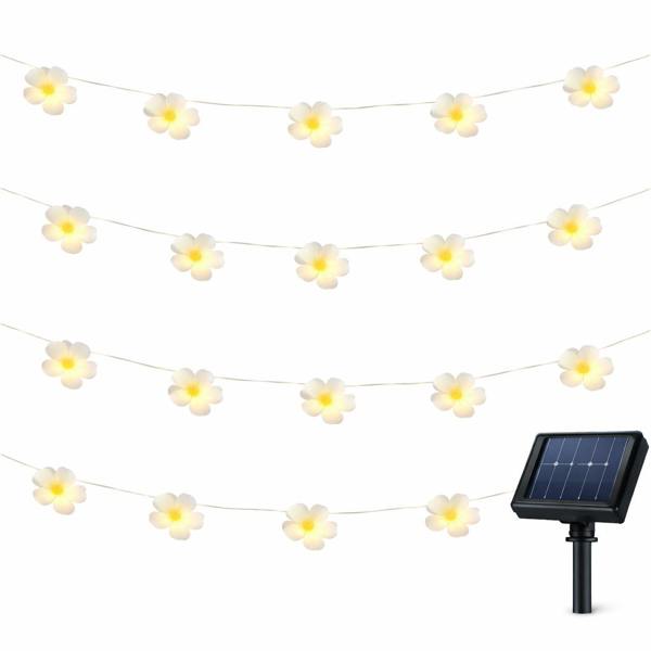 Gardenwize 20-Piece Solar String Lights – 2m Frangipani Flower LED Lights