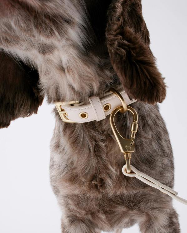 Barc London Light Ivory Dog Collar