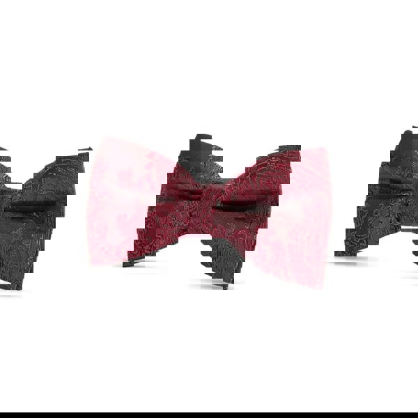 Paul Andrew Boys Paisley Floral Satin Bow Tie