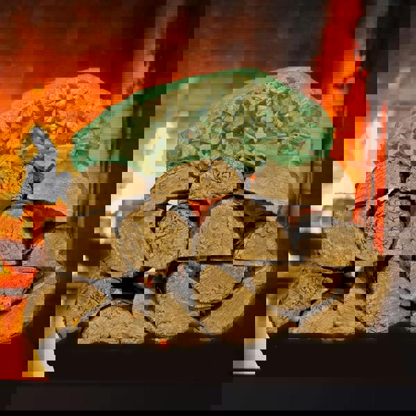 xl firewood starter kit