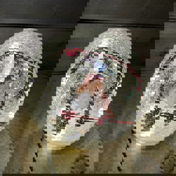 Samuel Alexander 15cm Battery Operated Light up Robin Crackle Glass Ball with 12 Warm White LEDs