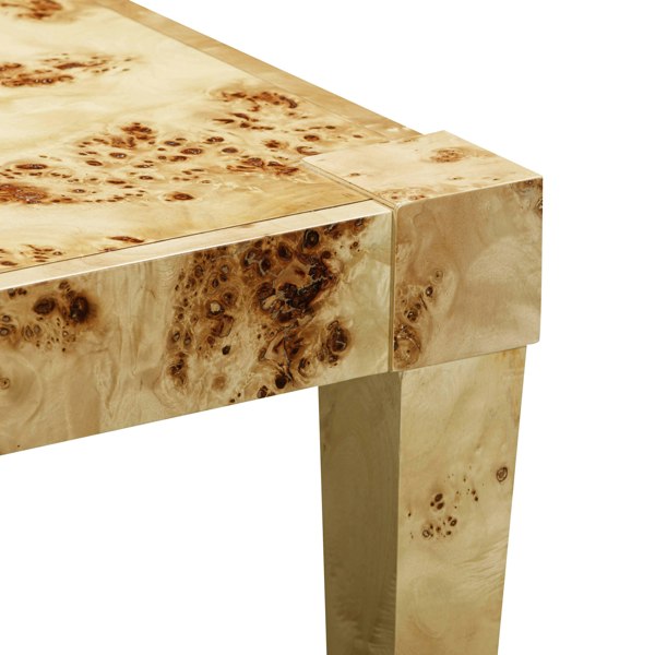 Furniture Edit Brandyss Natural Burl End Table