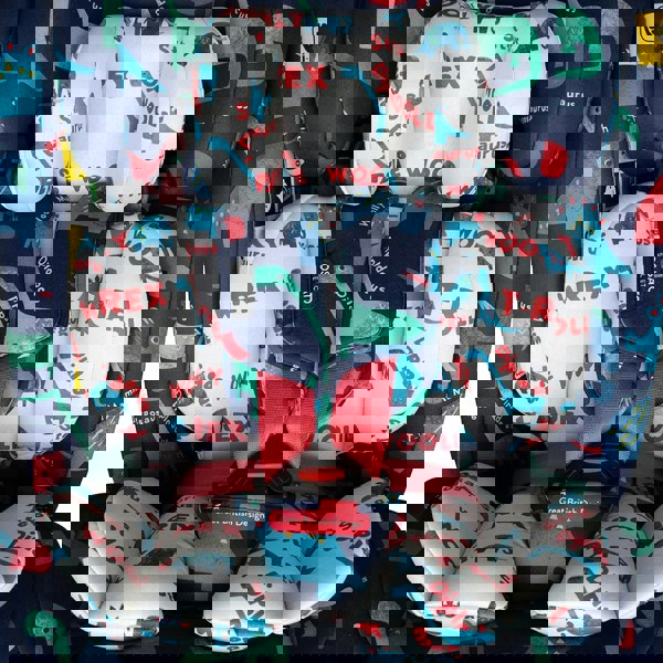 Get Set Gro i-Size 360 Car Seat D is for Dino - Carseat - Cosatto Store