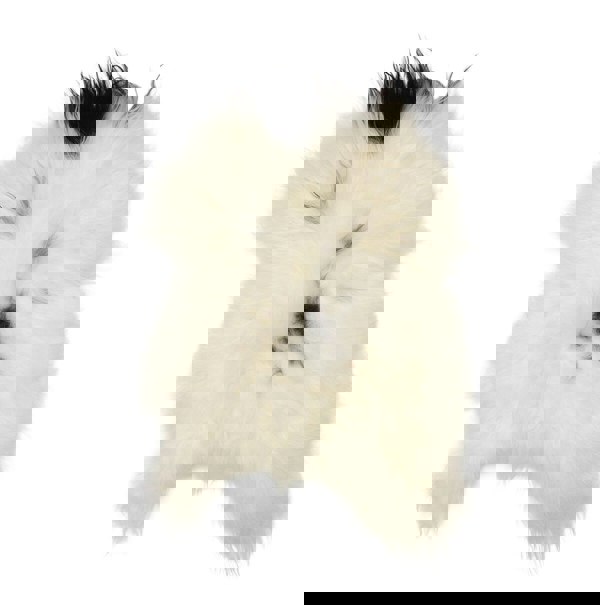 Icelandic Sheepskin | Long Wool | 100-120 cm Spotted