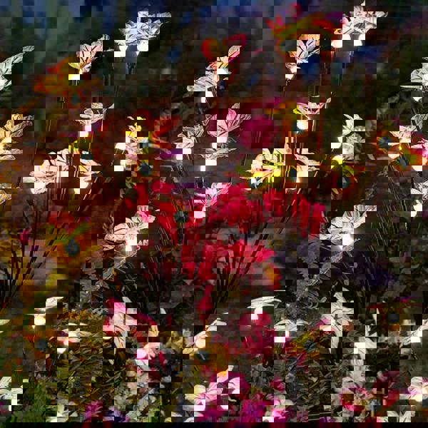 Leaper Solar Butterfly & Firefly Garden Ground Lights