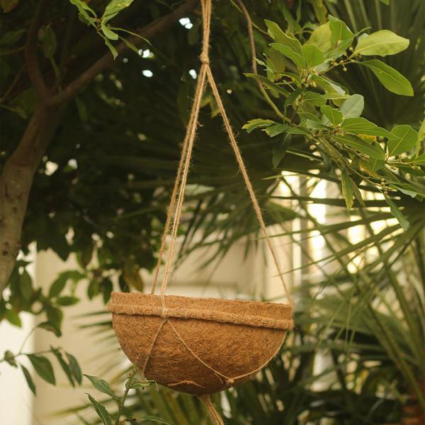 CoirProducts Hanging Baskets | Premium Biodegradable Coconut Fibre Baskets for Flowers, Herbs & Container Plants