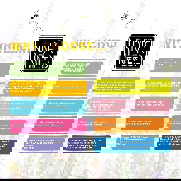Neve’s Bees ‘Why Choose’ graphic with wildflowers and bee, listing values like restoring wildflower meadows, 100% natural ingredients, pure plant oils and beeswax, no artificial additives, fully recyclable packaging, carbon neutral deliveries, Soil Association approved, UK made, and rejecting ultra-processed skincare