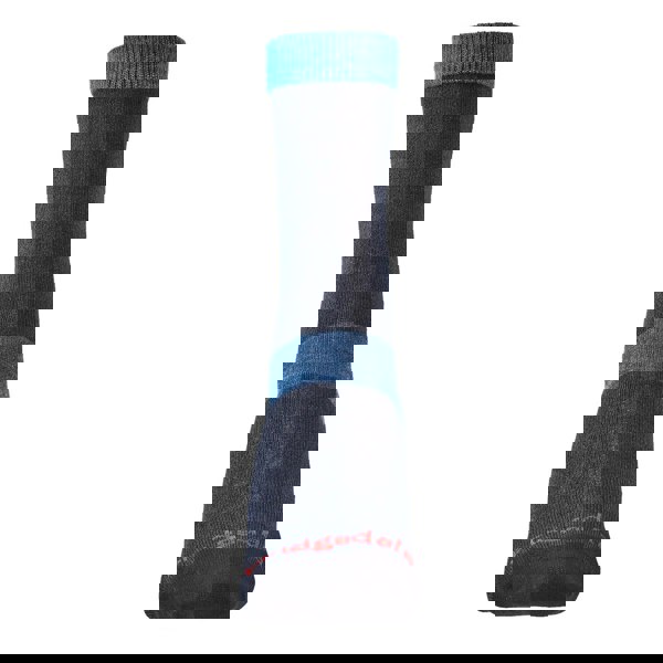 t4option1_0