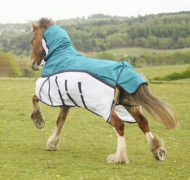 eQuitack 600D 2 in 1 Waterproof Fly Turnout Mesh Horse Rug Fixed Neck Petrol/White 5'6''